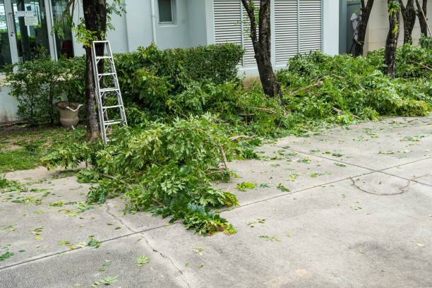 Best Tree Cutting Near Me  in The Woodlands, TX